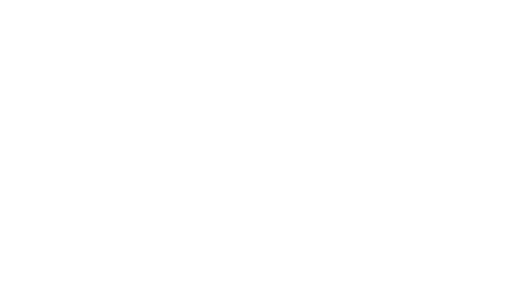 Pubble Logo